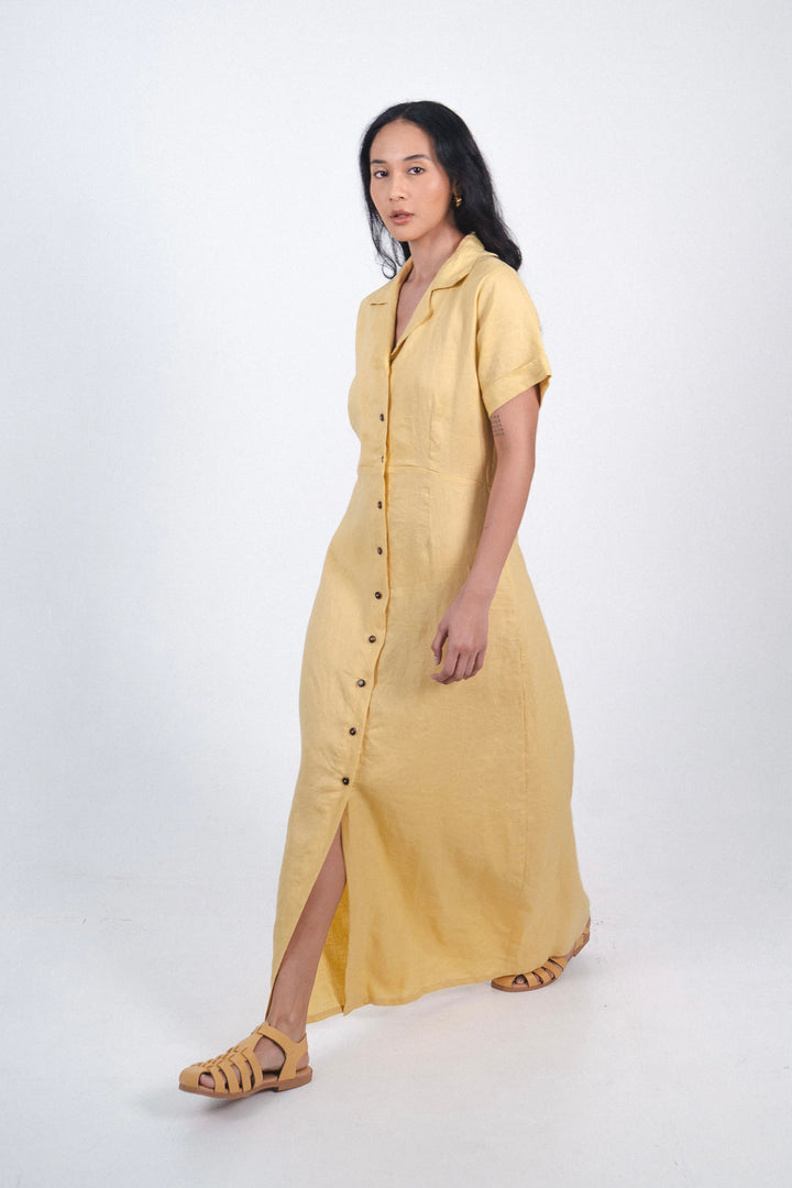 Alexandra Dress In Yellowish